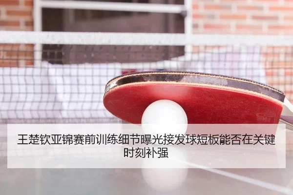 王楚钦亚锦赛前训练细节曝光接发球短板能否在关键时刻补强